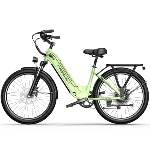 Electric Bike for Adult
