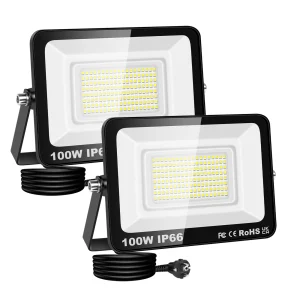 LED Flood Light AC 110V 240V Floodlight