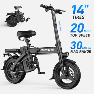 Electric Bike for Adults, 750W