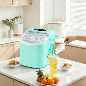 Portable ice maker