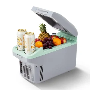 Electric Cooler & Warmer Mini Fridge